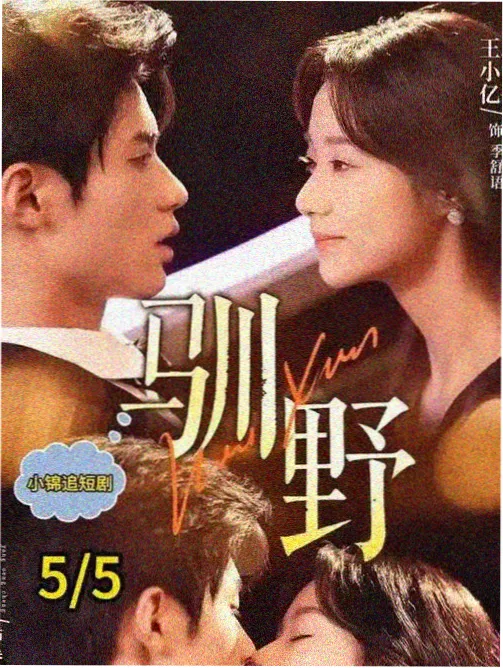 剧集样本人群关系网观察图鉴
